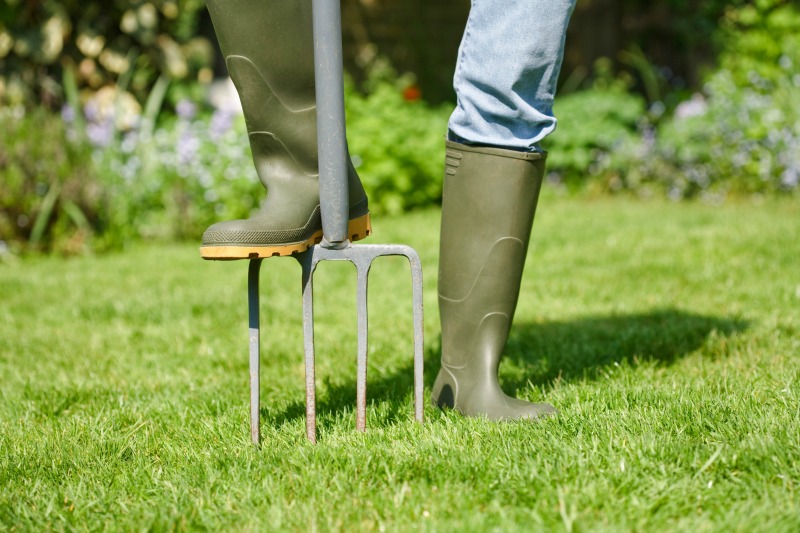 turf care, sunshine coast, sunshine coast turf, autumn lawn care