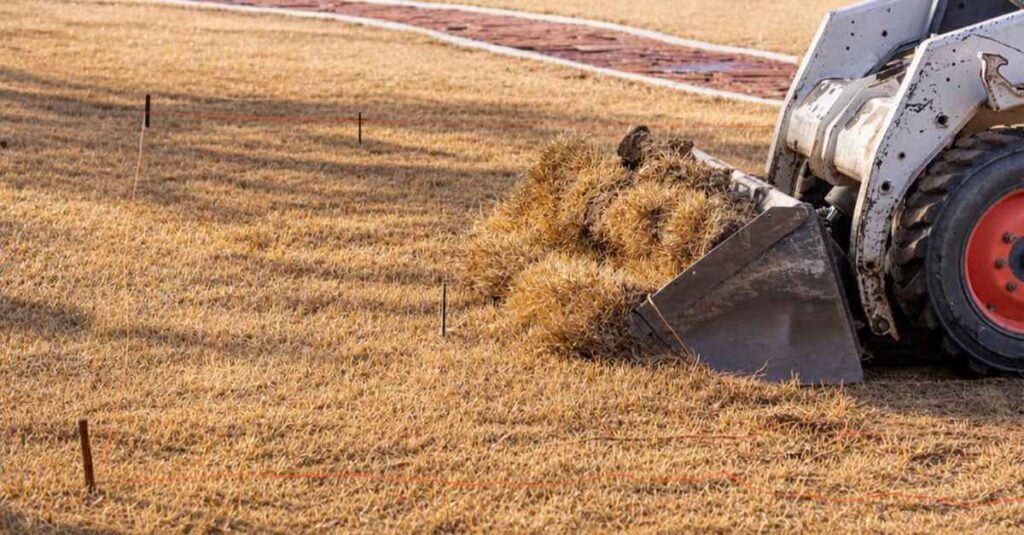 Once the old lawn has died off, remove it with an excavator or a bobcat